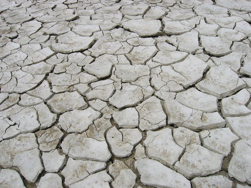Dried mud of the Playa