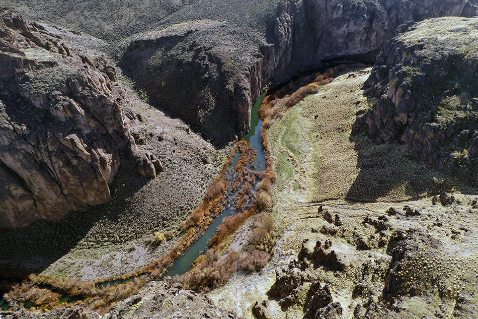 More than 200 species of wildlife live within the canyons and the sagebrush desert lands along the rims of the West Little Owyhee River (above), as well as the Owyhee River.