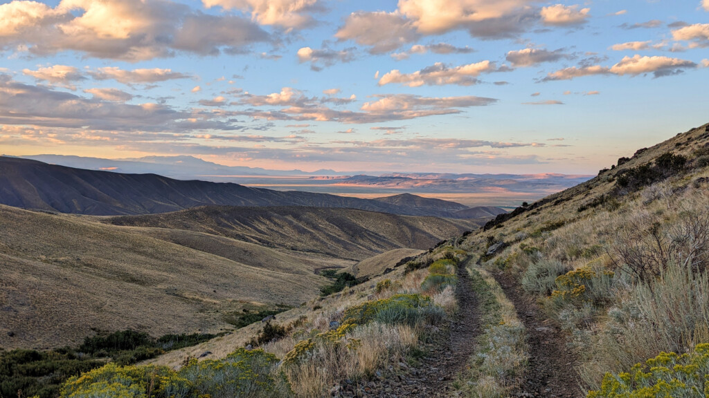 Layers of mountains are seen across the high desert from nearly 7,000 feet on the side of a mountain with wildflowers.